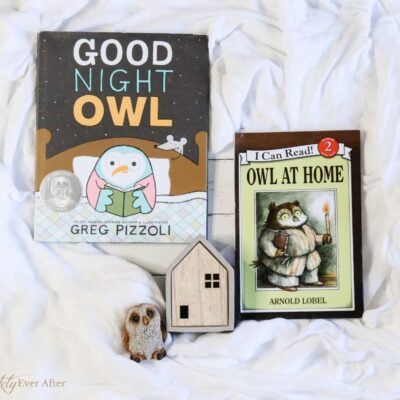 Episode 18: Owl At Home and Good Night Owl (Bedtime Book Series: Part 3)