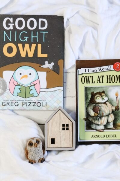 owl at home good night owl best bedtime books